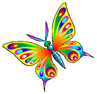 rainbow_butterfly-4400.gif